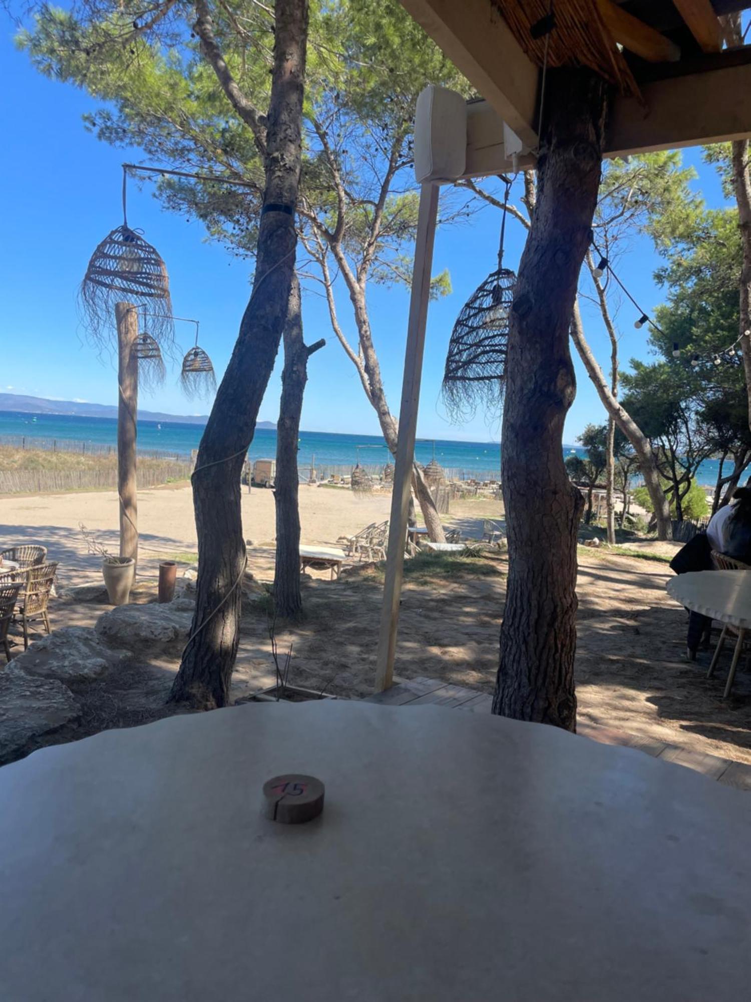 Petite Maison Cocooning A Les Mimosas